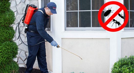 Gündoğmuş Karınca İlaçlama böcek ilaçlama ve haşere kontrolü — ilaclama-tr.com